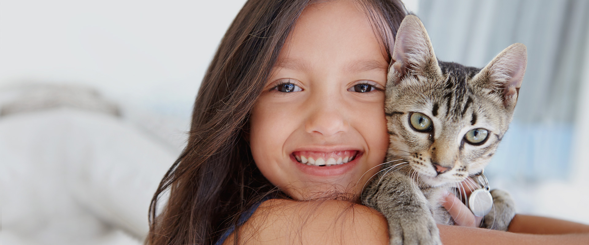 Zona clínica de Dovet