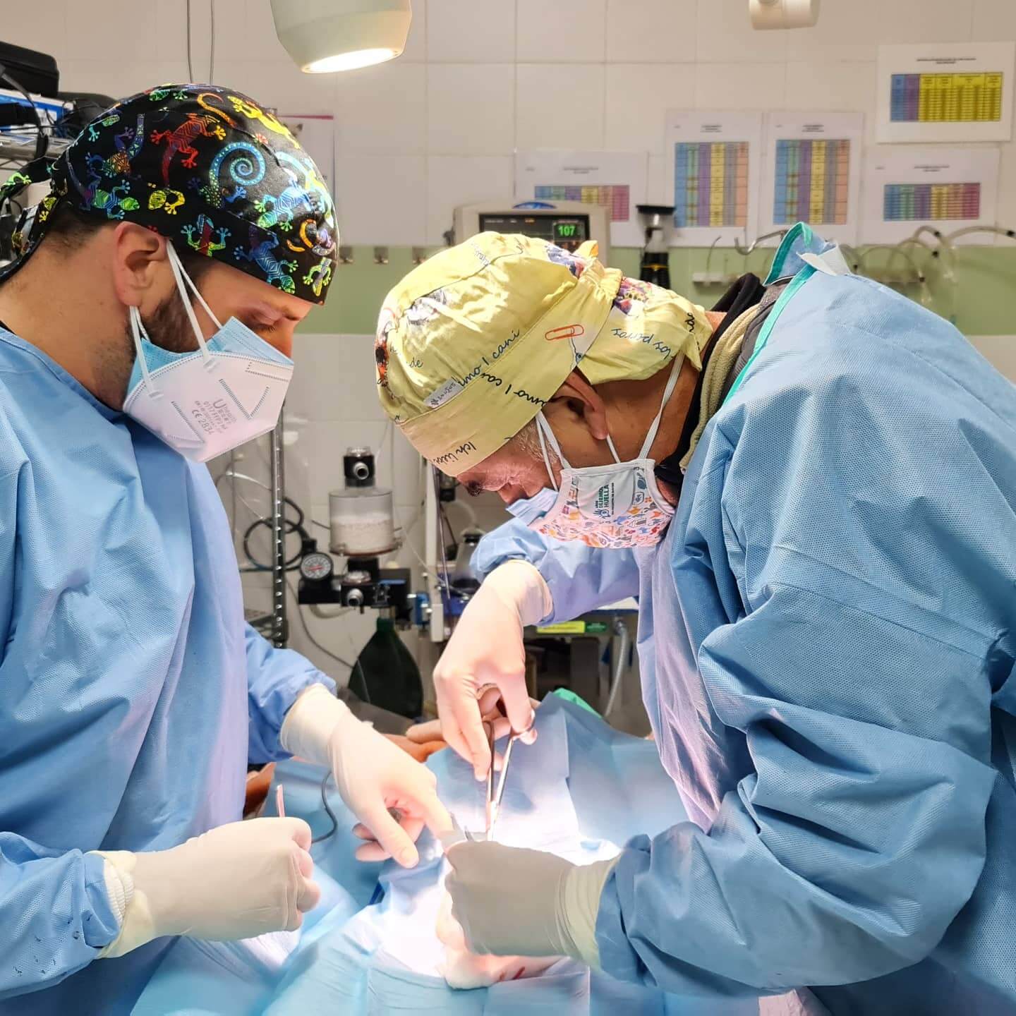 Instalaciones veterinarias Dovet